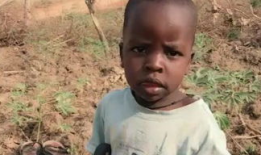 欧美大黄视频,揭秘时尚潮流背后的秘密